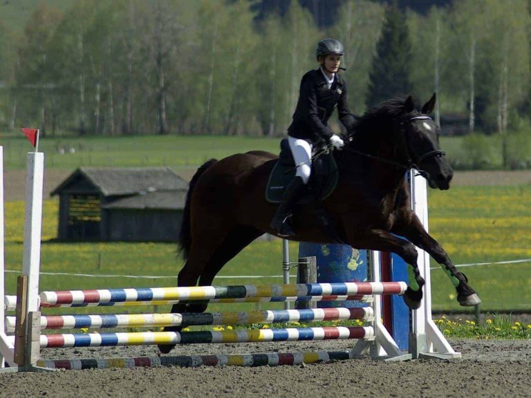 Reiterin springt mit Pferd beim Turnier des URC Waidach in Piesendorf über Hindernis