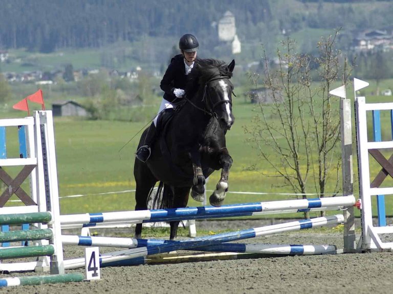 Reiter springt mit schwarzem Pferd über Hindernis auf Reitanlage Waidach im Salzburger Land