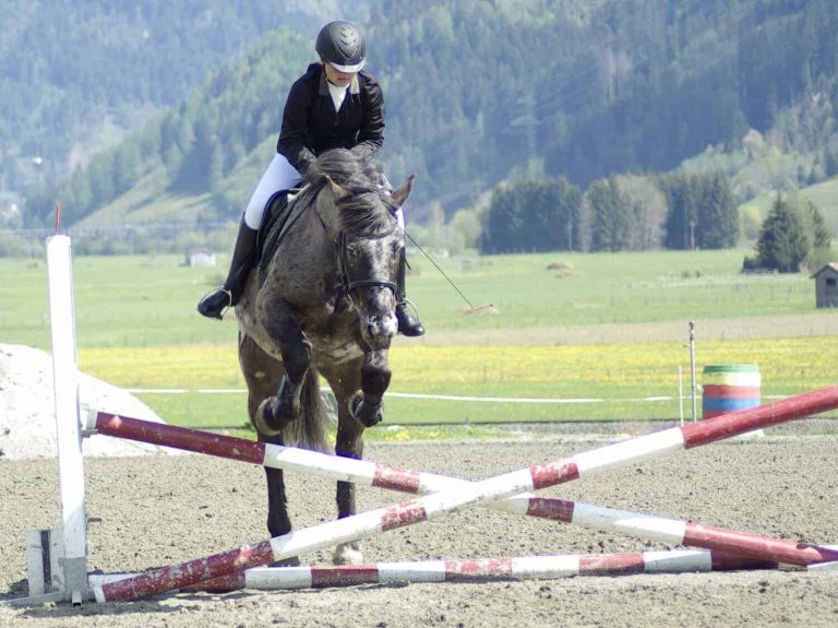 Reiterin springt mit Pferd über Hindernis bei Prüfung am Reitclub Piesendorf im Sonnenschein