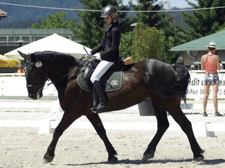 Dressurreiterin auf Noriker beim Turnier in Piesendorf, Reitclub URC Waidach, Salzburg