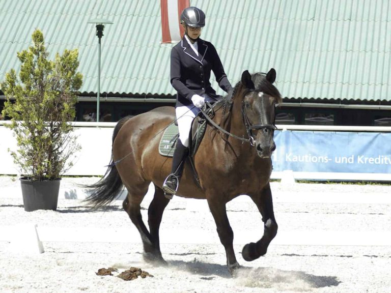 Dressurreiterin mit Noriker bei Turnier in der Reitanlage Waidach, Reitclub Piesendorf