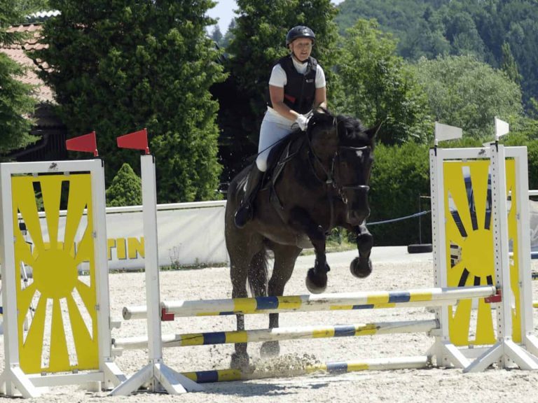 Reiterin springt mit Noriker beim Turnier des URC Waidach Reitclub Piesendorf über ein Hindernis
