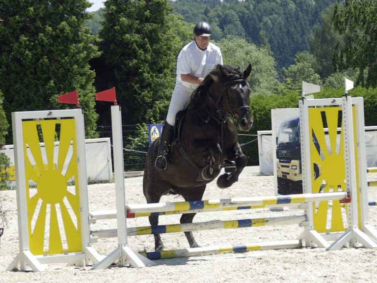 Reiter beim Springturnier auf Noriker über Hindernis, URC Waidach Reitclub Piesendorf Salzburg