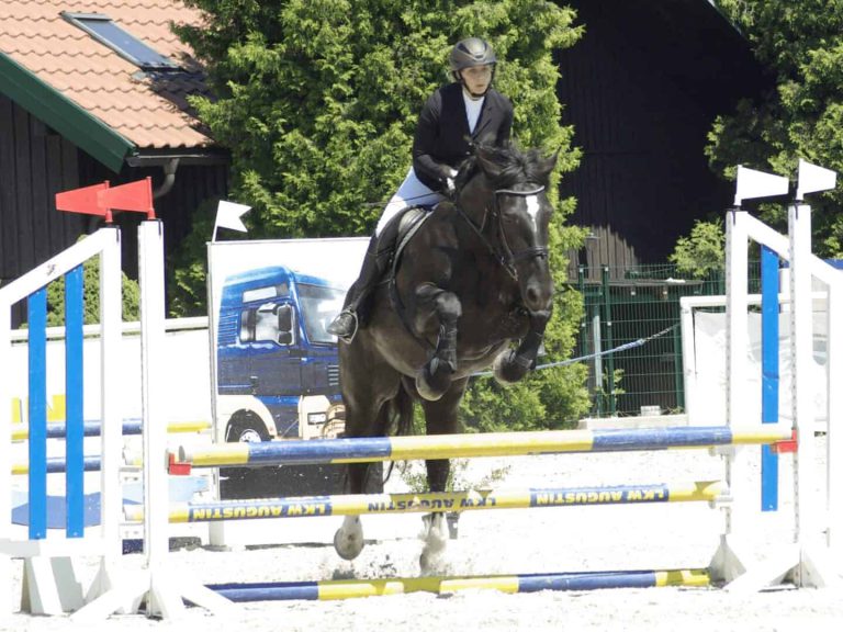 Reiterin springt mit Noriker-Pferd beim Turnier des URC Waidach in Piesendorf über Hindernis