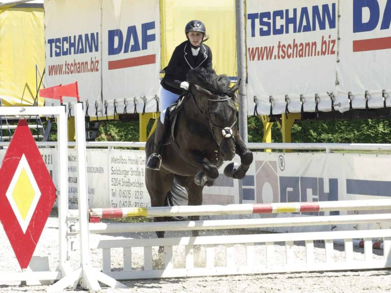Reiterin springt mit Noriker beim Turnier des URC Waidach über Hindernis in Piesendorf