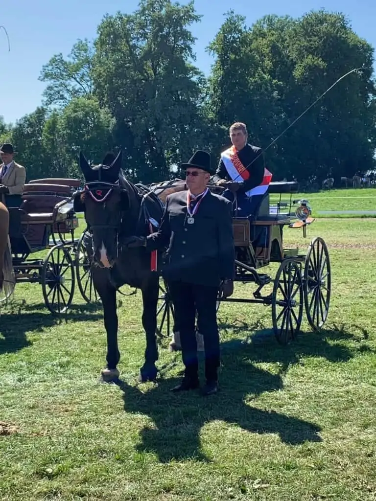 URC Waidach - Reitclub in Piesendorf im Salzburger Land