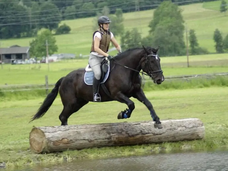 URC Waidach - Reitclub in Piesendorf im Salzburger Land