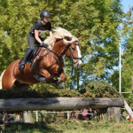 Reiterin springt mit Haflinger bei Vielseitigkeitsturnier Elixhausen für URC Waidach