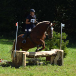 Reiterin auf Noriker springt bei Vielseitigkeit Elixhausen über Naturhindernis im Sonnenschein