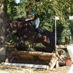 Reiter springt mit Dunkelbraunem Pferd über Geländehindernis bei Vielseitigkeit Elixhausen