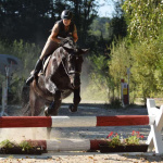 Reiterin springt mit schwarzem Pferd über Hindernis beim Vielseitigkeitsturnier Elixhausen