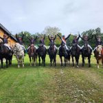 Reiterinnen vom URC Waidach auf Noriker- und Haflinger-Pferden feiern Turniererfolg in Elixhausen