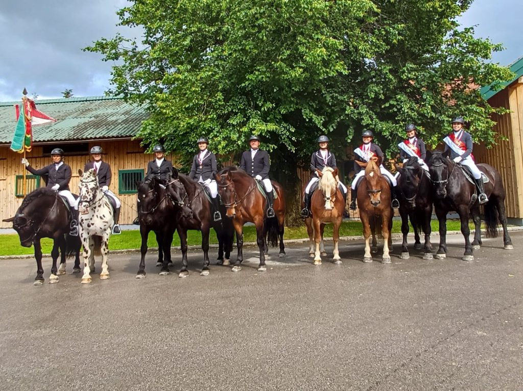 Acht Reiterinnen mit Noriker und Haflinger Pferden vor Stallgebäude im Reitoutfit
