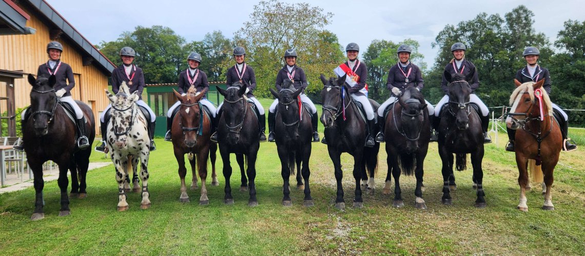 Neun Reiterinnen auf Norikern und Haflingern mit Medaillen bei der Landesmeisterschaft Elixhausen