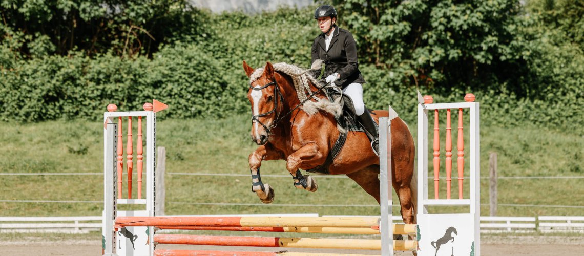 Reiter springt mit Noriker beim Turnier des URC Waidach über Hindernis in Piesendorf